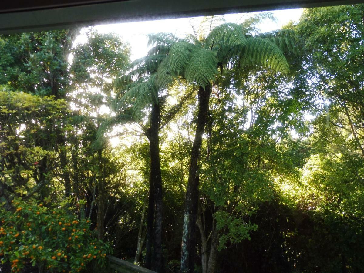 Hideaway Off Heta Apartment New Plymouth Luaran gambar