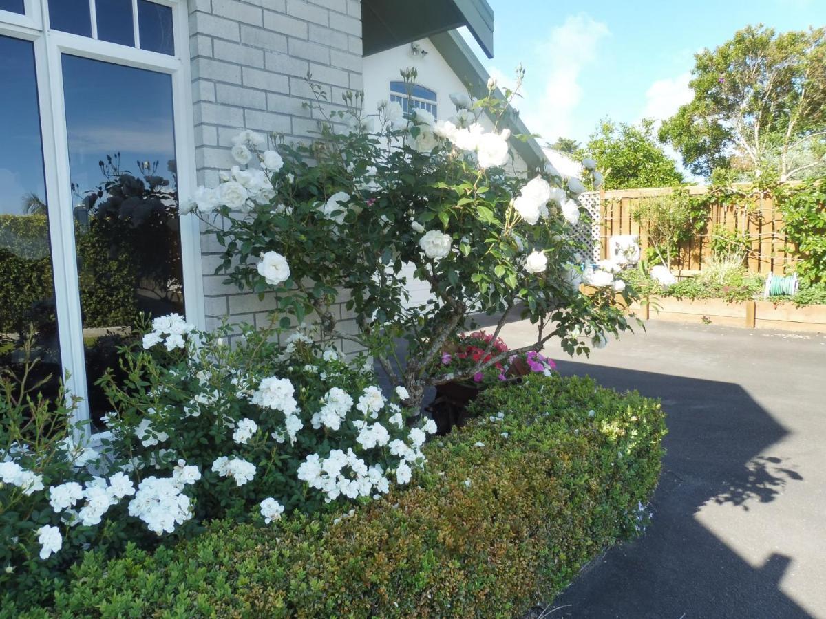 Hideaway Off Heta Apartment New Plymouth Luaran gambar